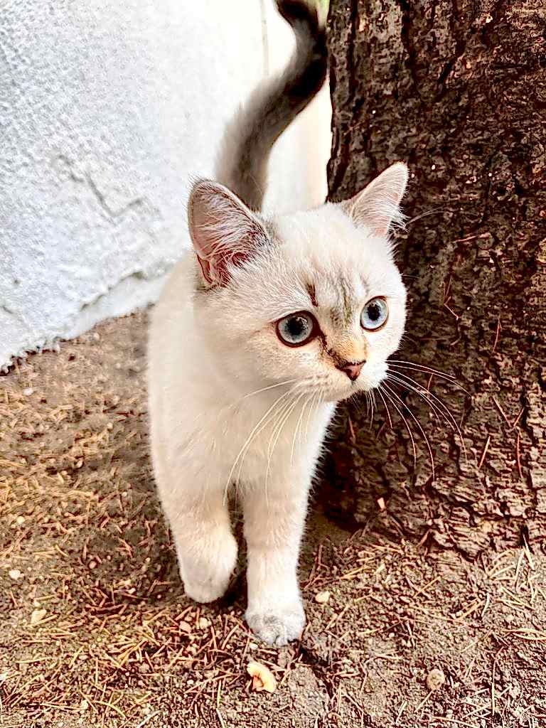 Konaklama Koşulları